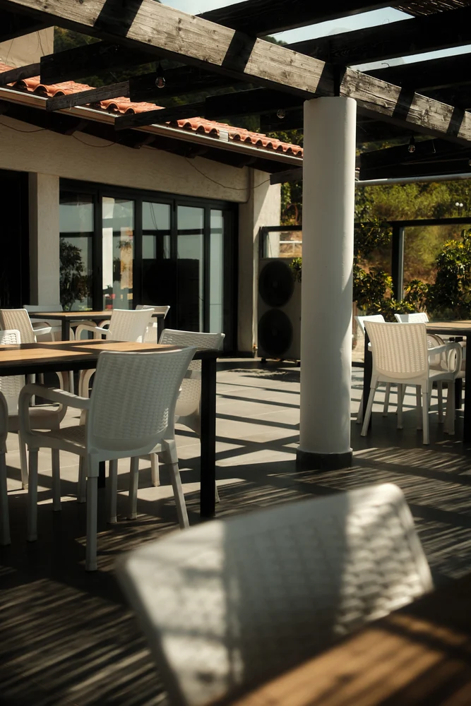 A sunlit outdoor table · illustrative lifestyle photograph