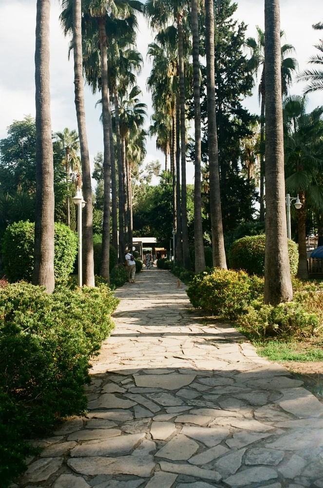 A palm-lined garden path in Alanya · city context