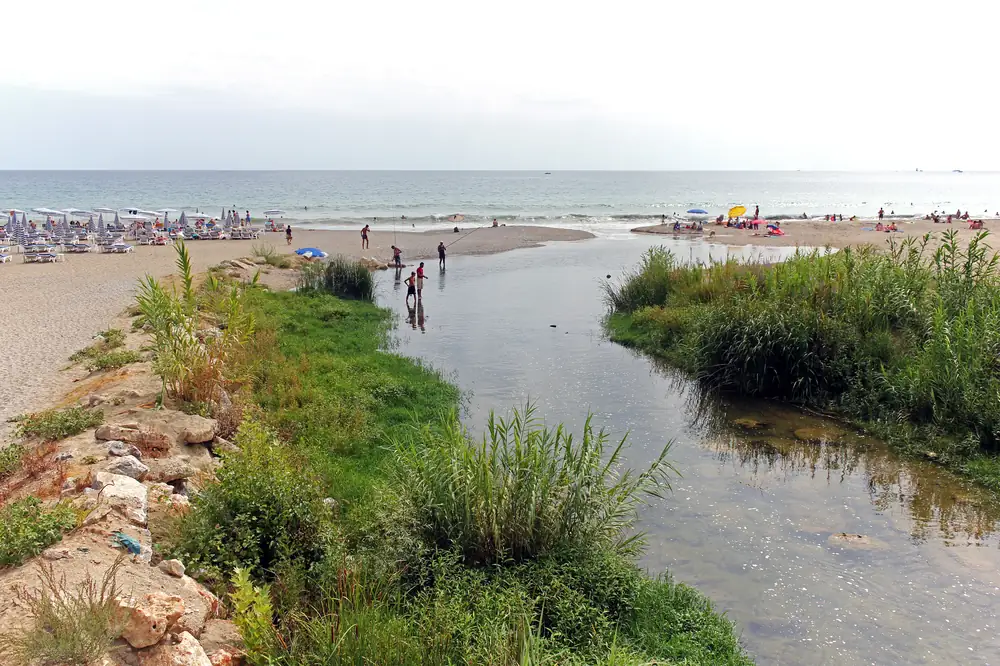 The mouth of the Obaçay River and the coast · archive photograph, 2014