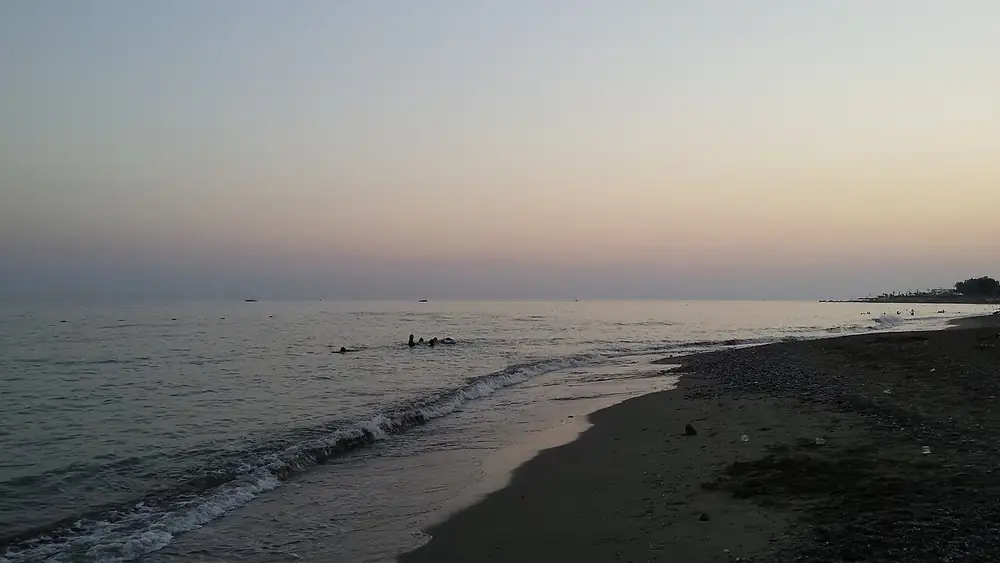 The Türkler shoreline in evening light · archive photograph, August 2014