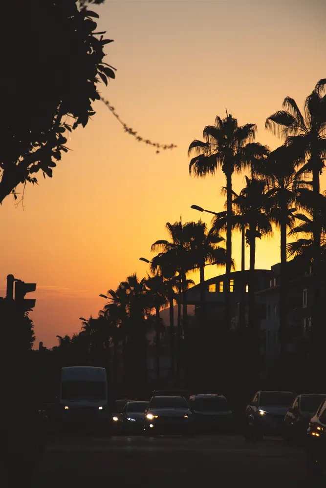 A palm-lined street in Alanya at sunset; wider city context