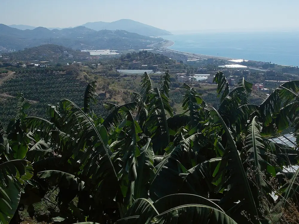 The eastern Alanya coast near Demirtaş, seen on the approach to Syedra · archive photograph, 2012