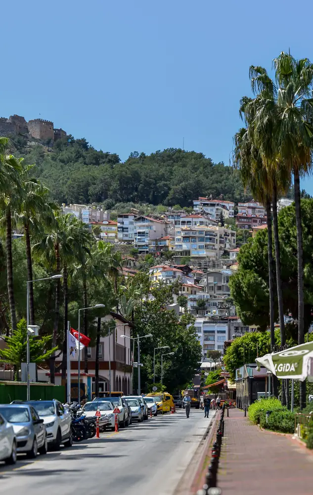 A palm-lined street beneath Alanya castle